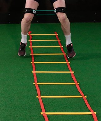 Agility Ladder 3